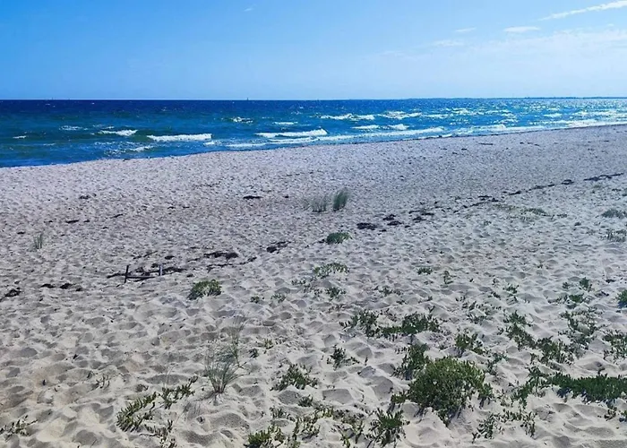 Semesterbostad 6 Person In Sydals-by Traum *