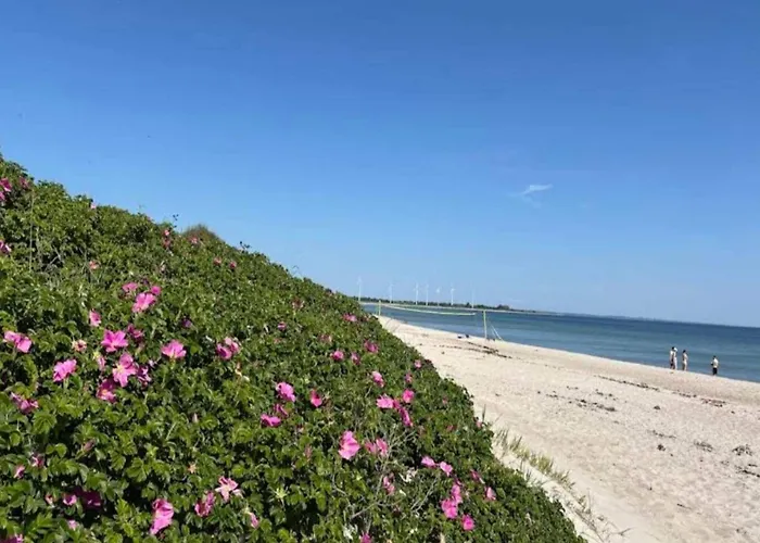 6 Person In Sydals-by Traum Nedre Lysabild